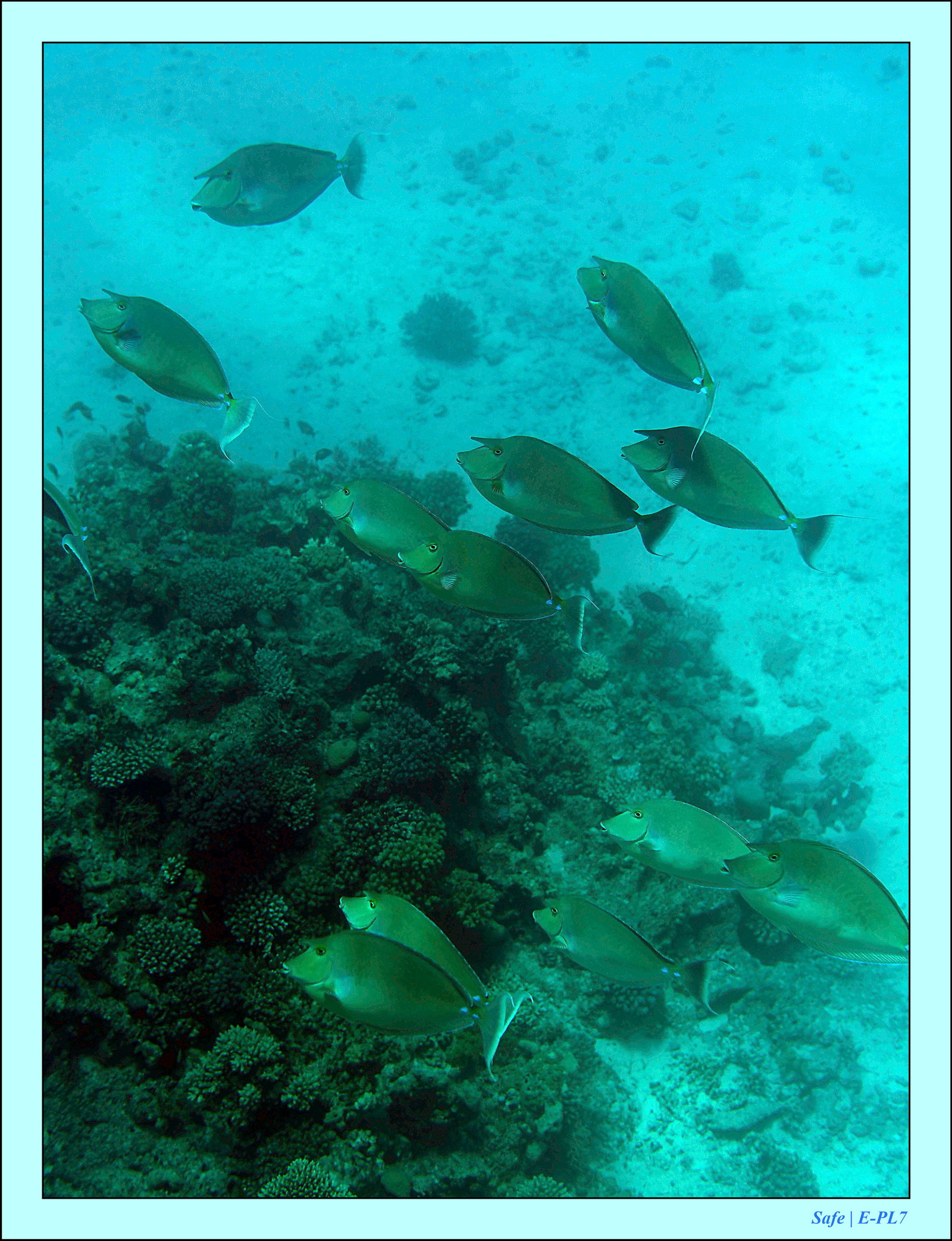 Hurghada - Aout 2021 - 019